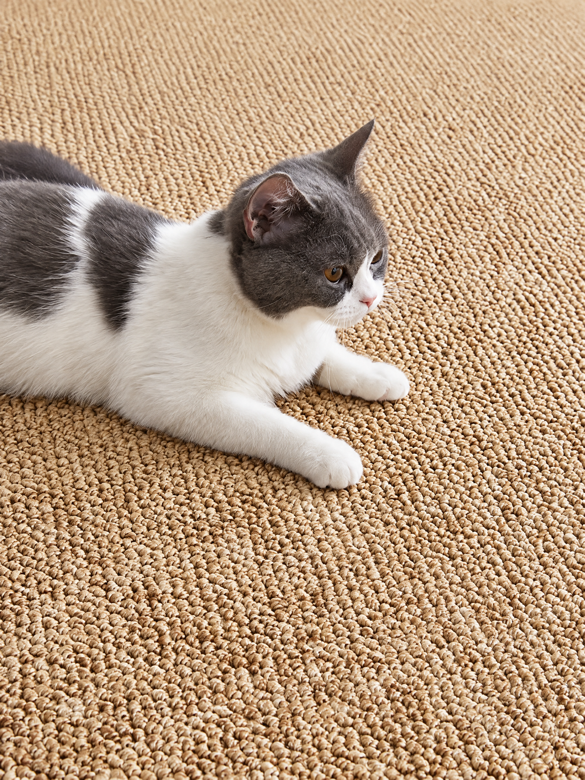 Natural Haven Woven Sisal Rug, Neutral Textured Accent Rug for Living Room, Bedroom or Home Office